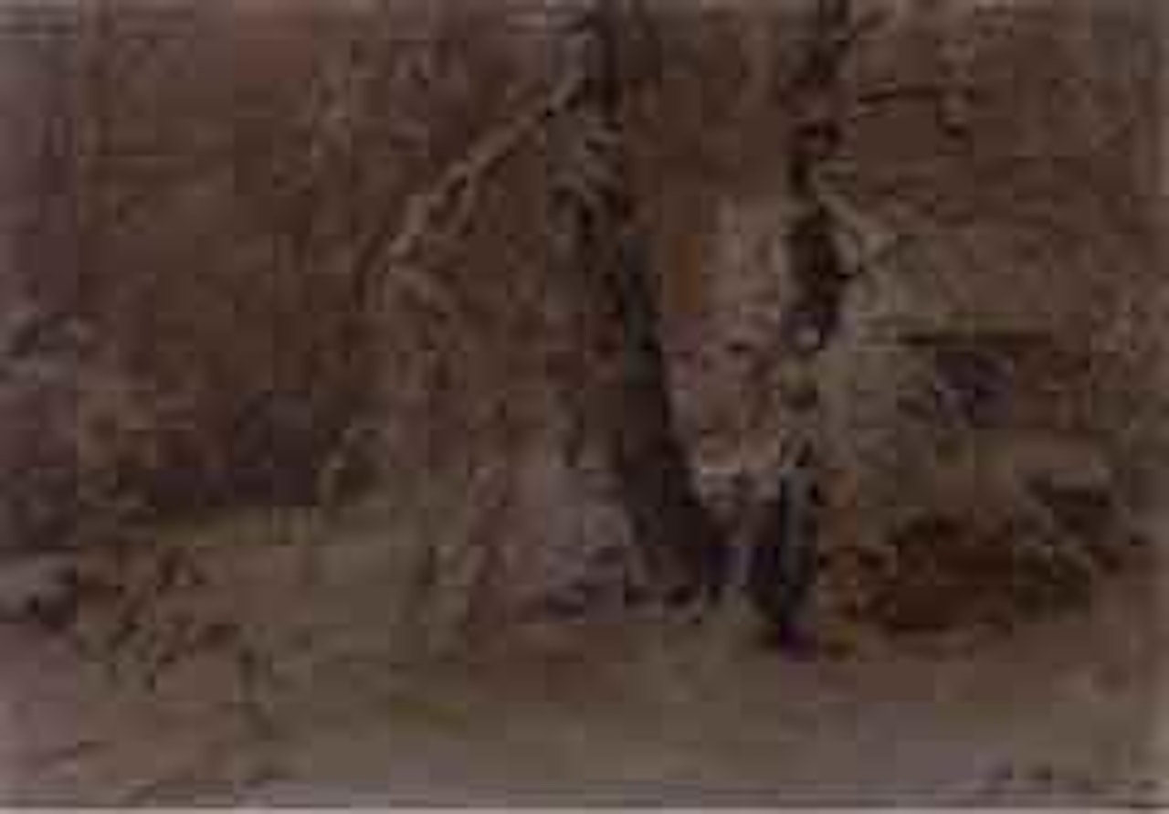 Winter landscape with house by Even Ulving