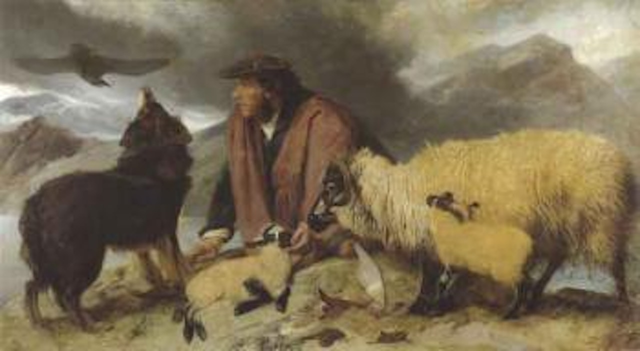 Highland spate, sheep being rescued from the rocks by Richard Ansdell