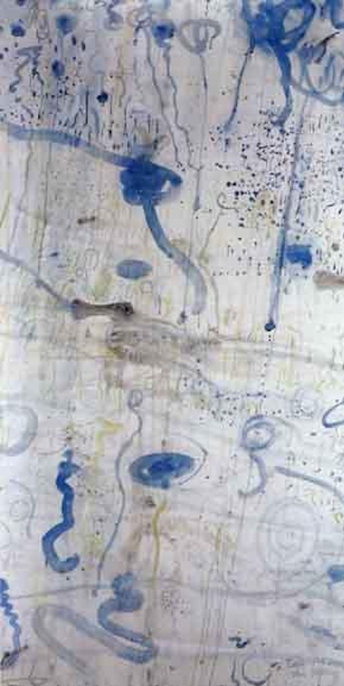 Rain and pink eared duck by John Olsen