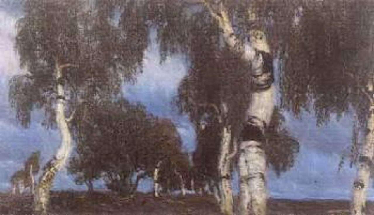 Birchtree avenue by Hans am Ende