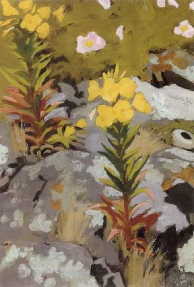 Wild roses and evening primroses on the rocks by Fairfield Porter