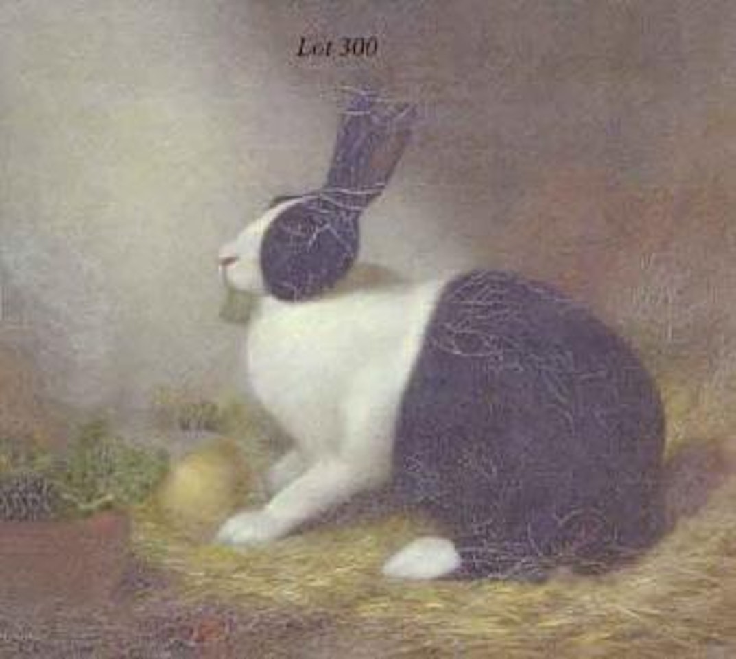 Study of Dutch rabbit in barn interior by English School
