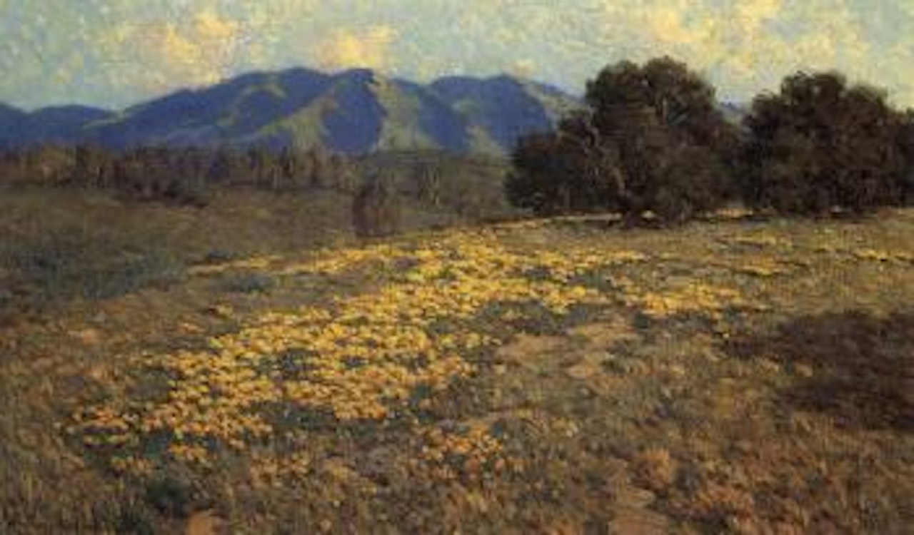 California poppies by Granville Redmond