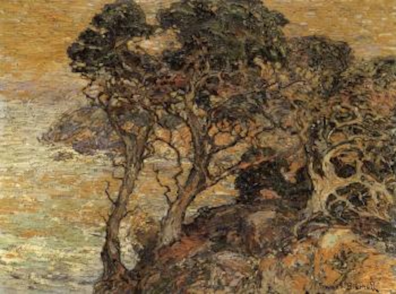 Point Lobos, Monterey coast by Franz A Bischoff