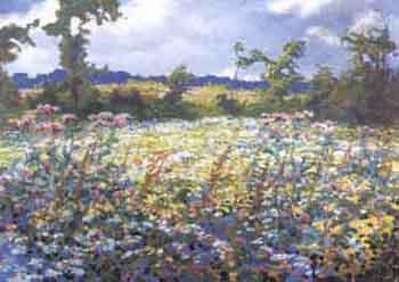 Flowering meadow by Karel Langer