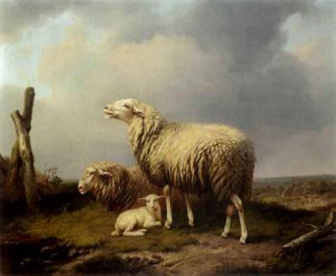 Sheep in meadow by Eugène Joseph Verboeckhoven