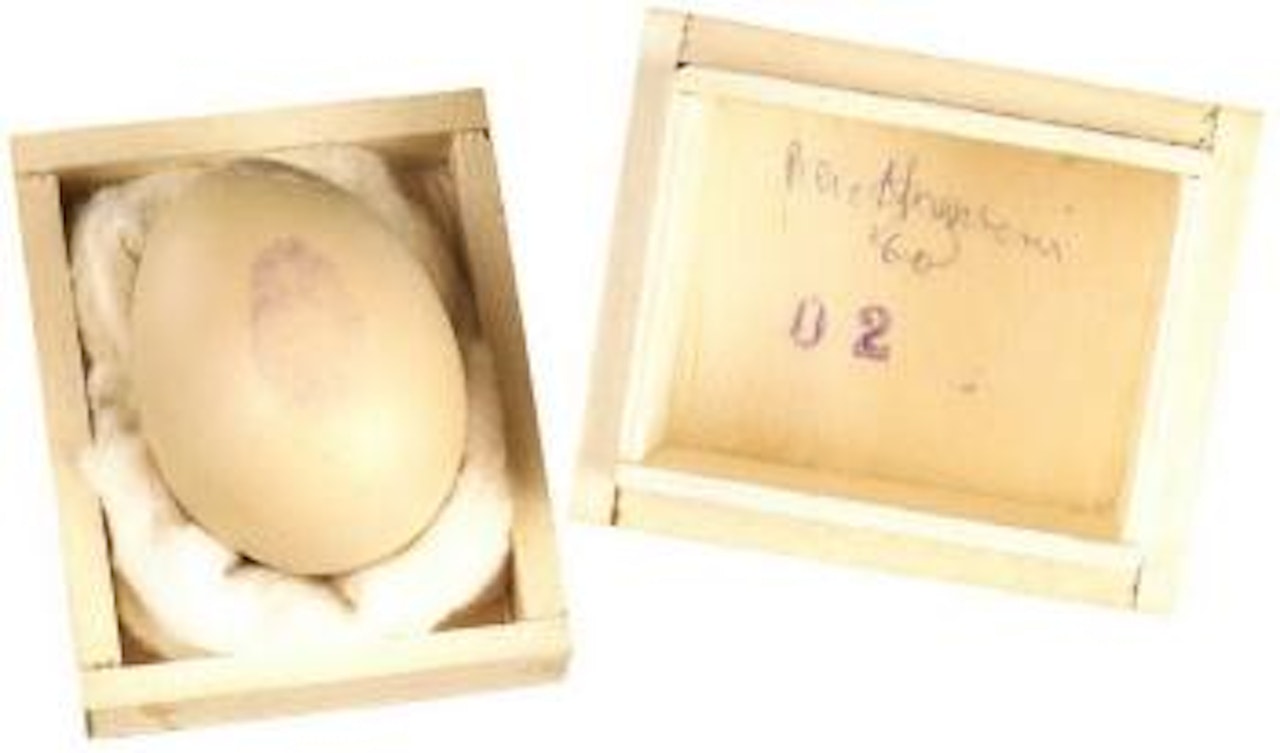 Egg with fingerprint Nr 2 by Piero Manzoni