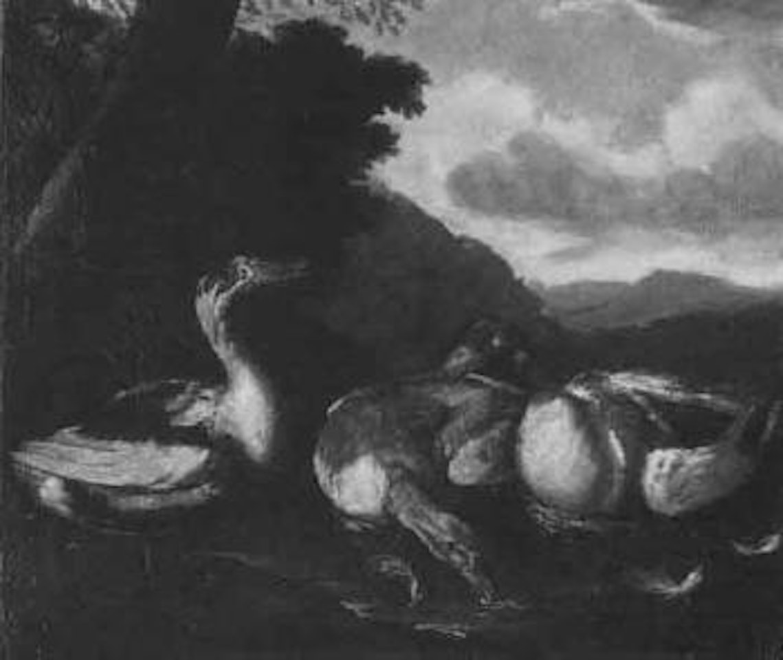 Ducks by Netherlandish School