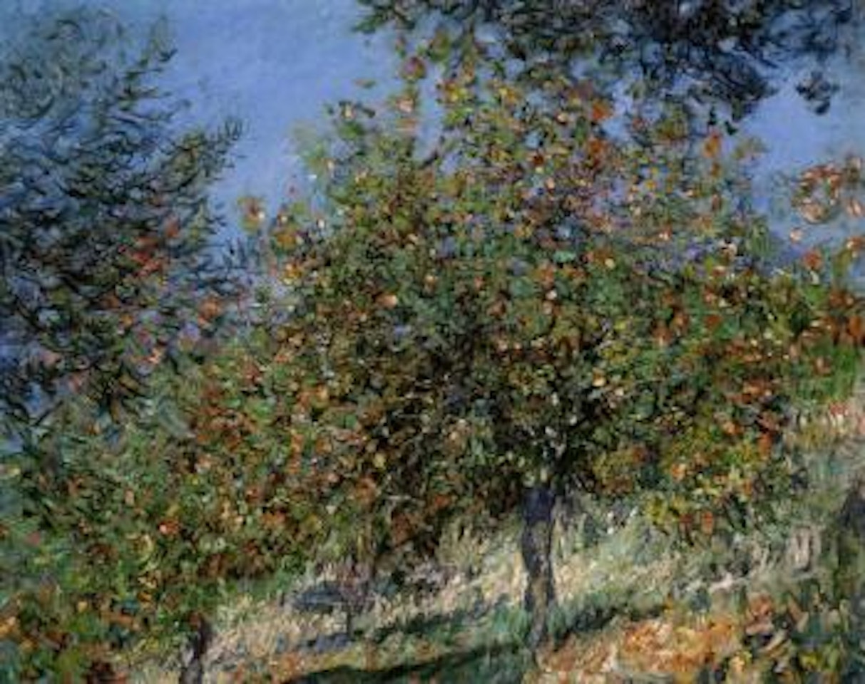 Pommiers sur la cote de Chantemesle by Claude Monet