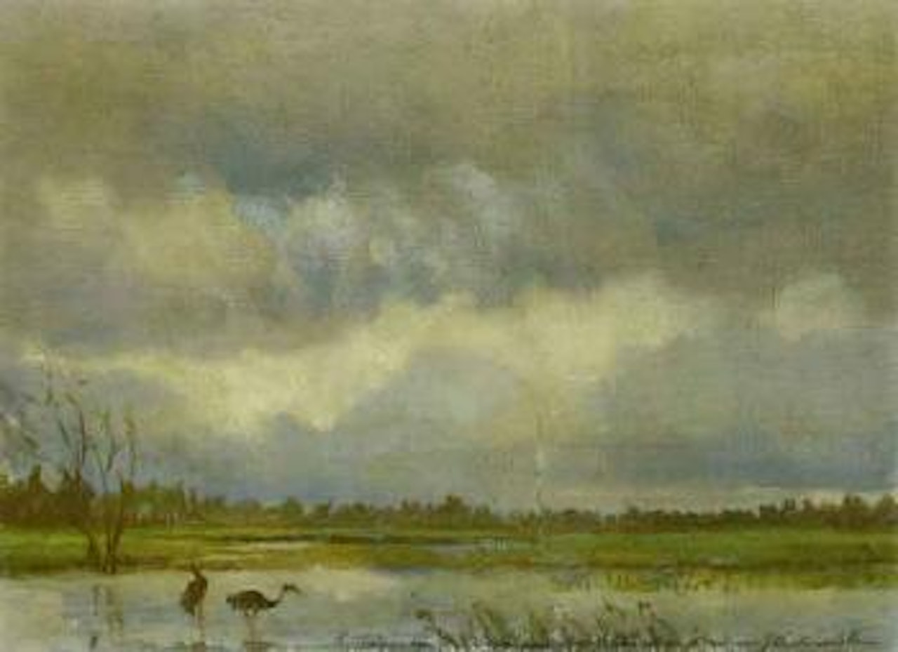 Heron in marsh landscape by Josef Chelmonski