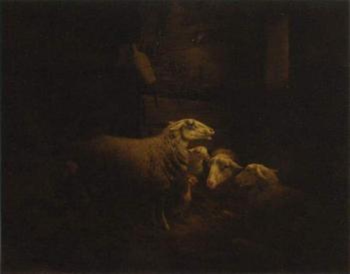 Sheep in a stable by Henriette Ronner-Knip