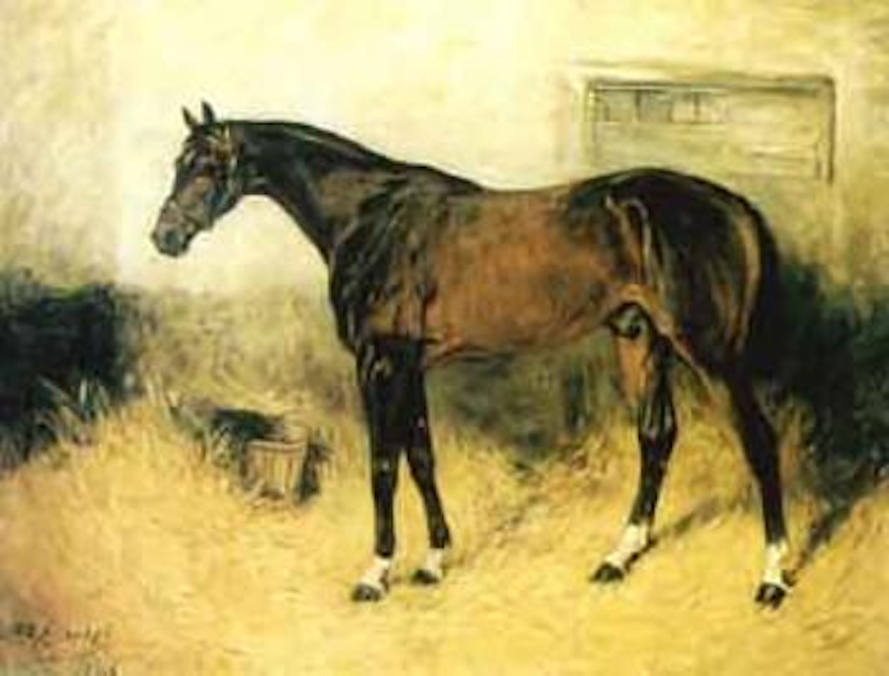 Study of a brown hunter in a loose box by John Emms