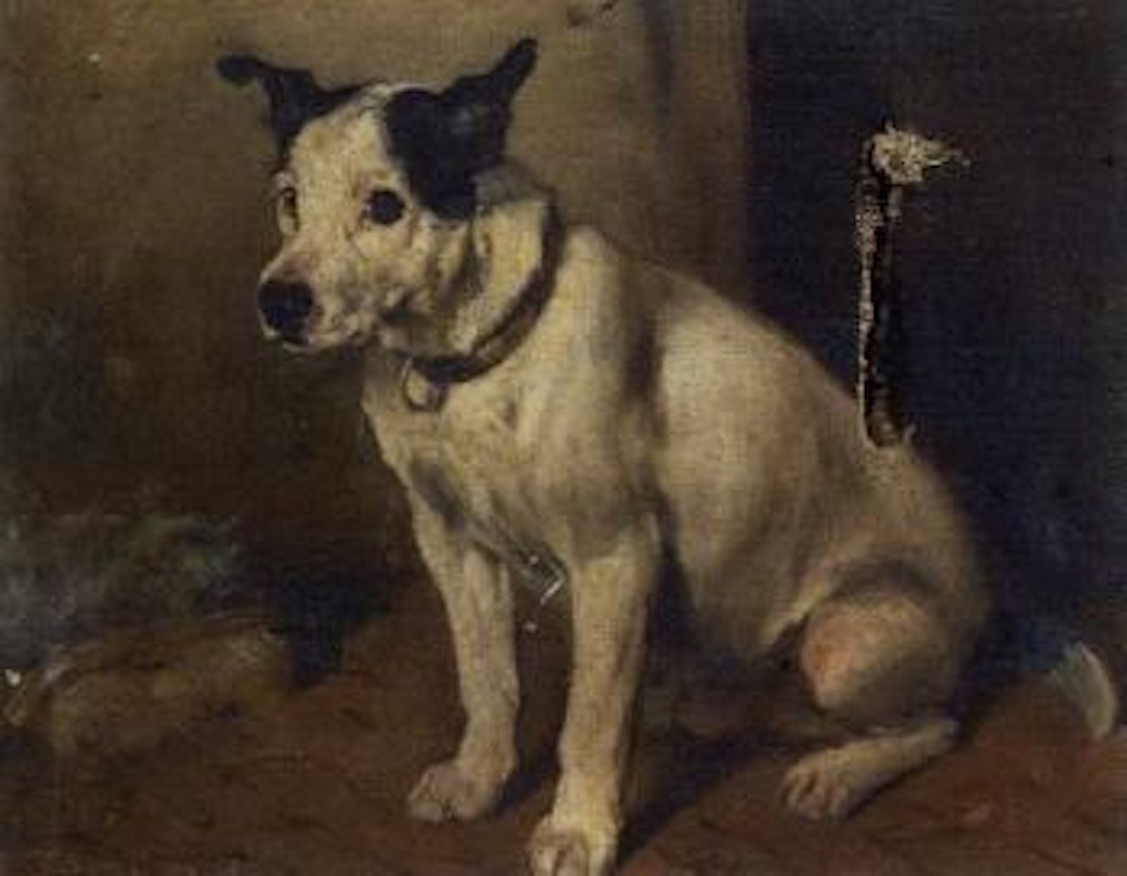Nip, study of a Jack Russell by John Emms