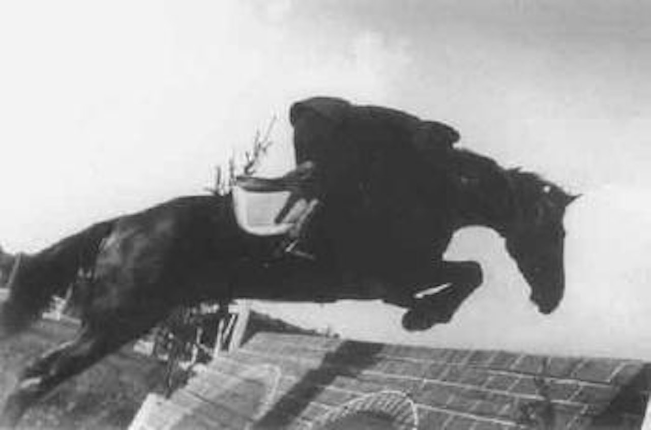 Horse jumping by Alexander Rodchenko
