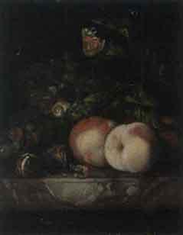 Grapes, peaches, walnuts with snail and butterfly on marble ledge by Willem van Aelst