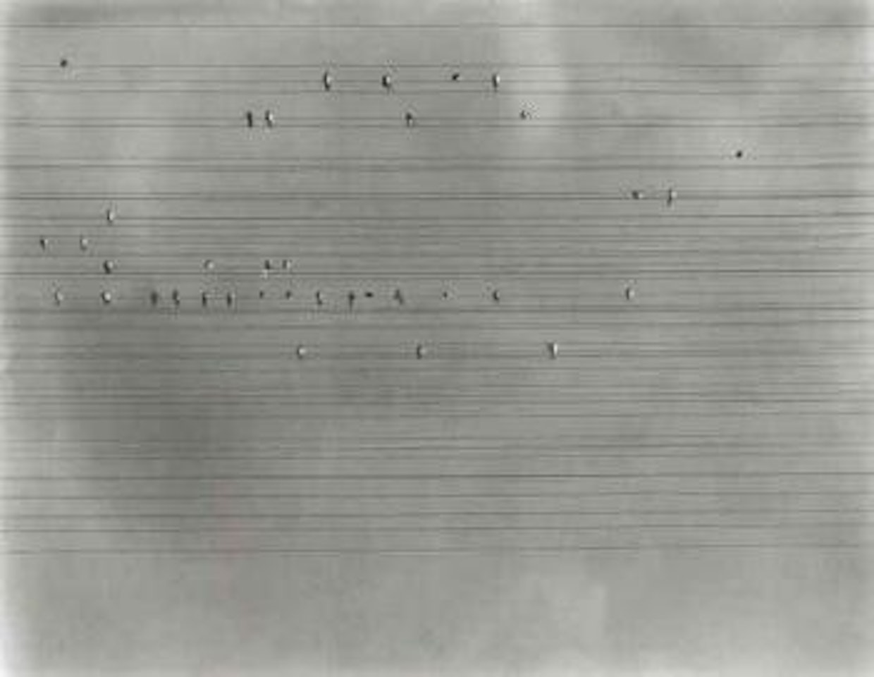 Birds on the wires by Edward Steichen