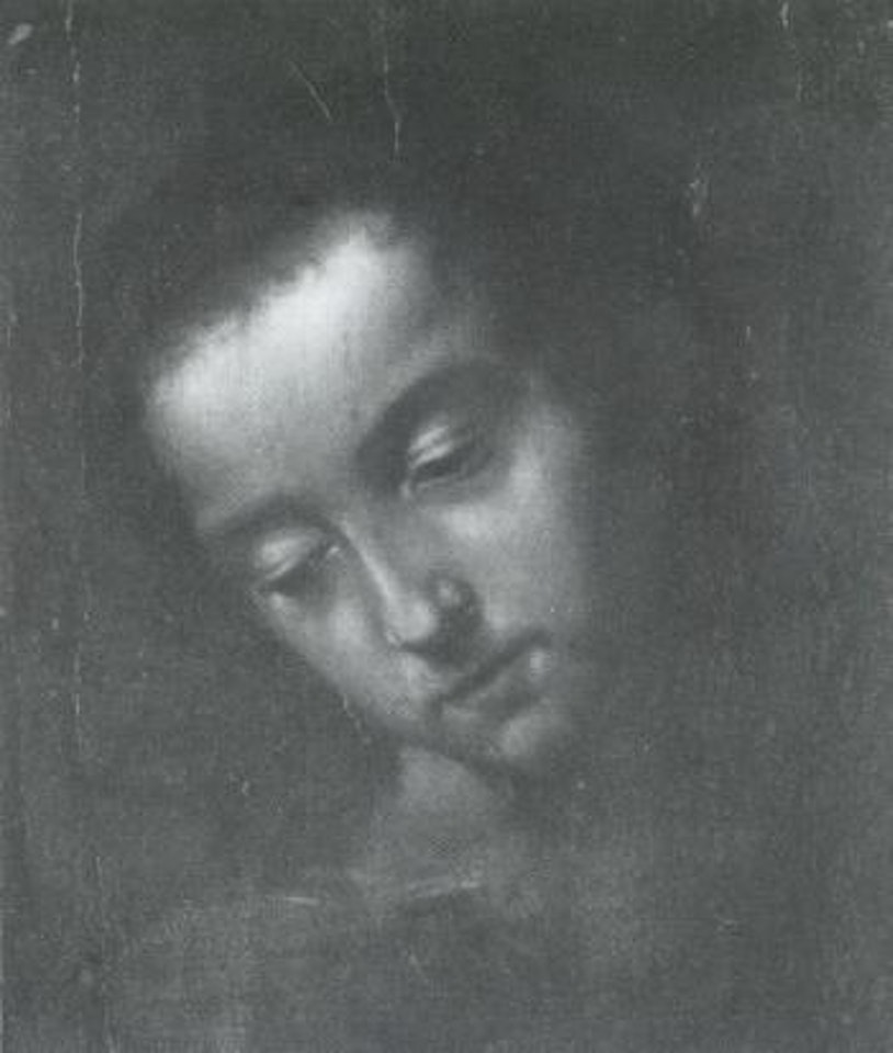Young man's head by BOLOGNESE SCHOOL