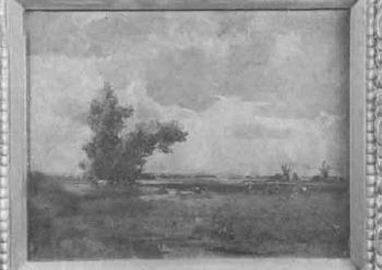 Acle marshes by Campbell Mellon