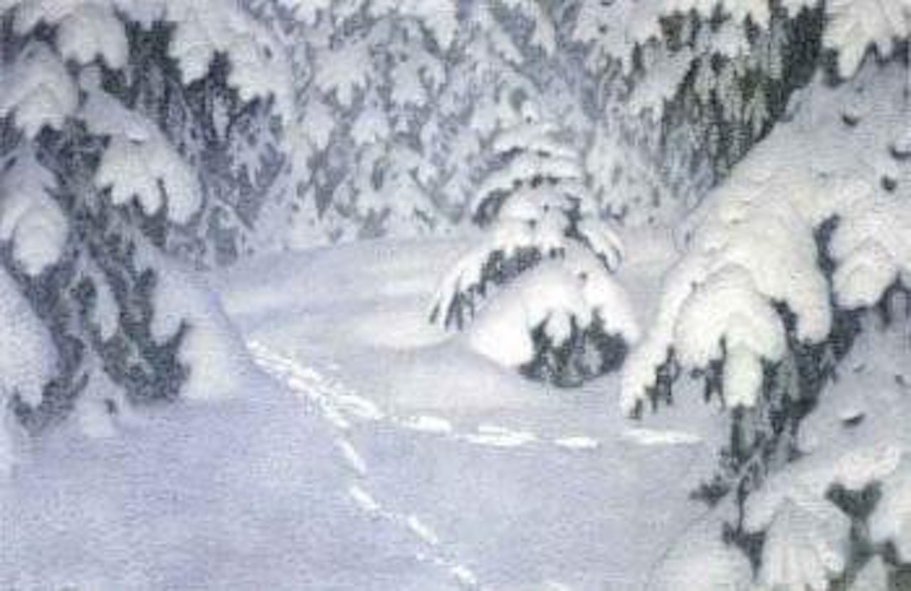 Winter forest by Gustaf Fjaestad