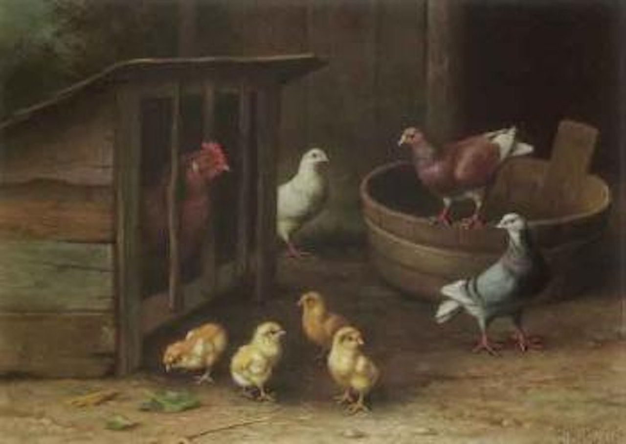Fowls and pigeons. Chicks by Edgar Hunt