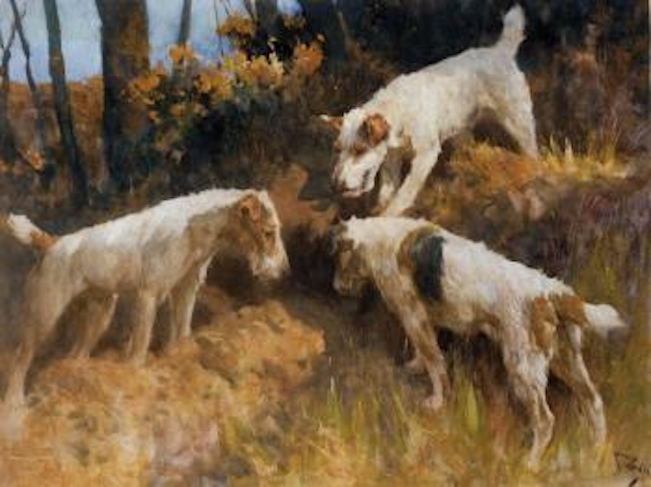 Gone to ground by Arthur Wardle