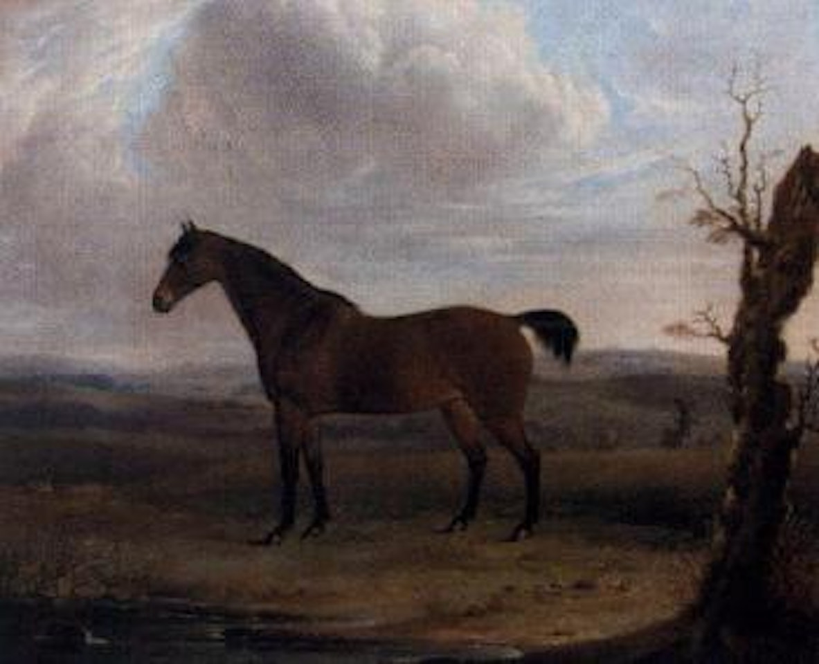 Liver chestnut in an extensive landscape by English School