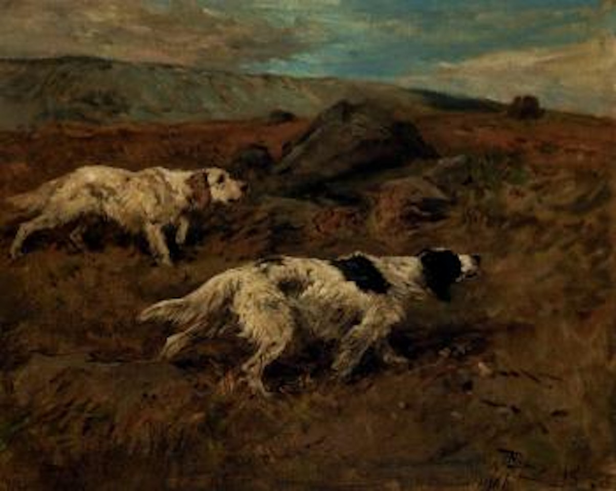 Setters on the point by John Emms