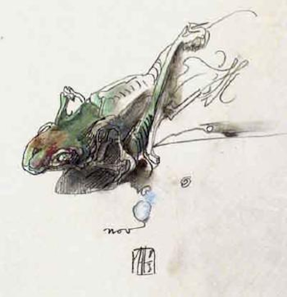 Frog by Horst Janssen