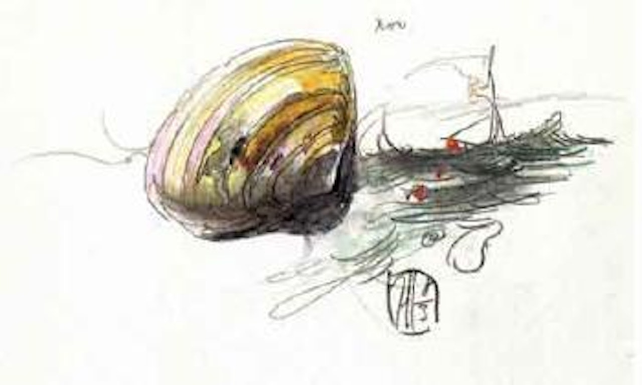 Shell by Horst Janssen