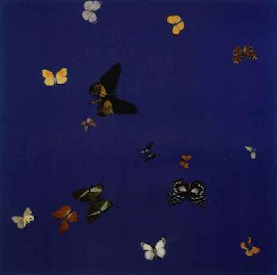 Untitled - butterfly by Damien Hirst