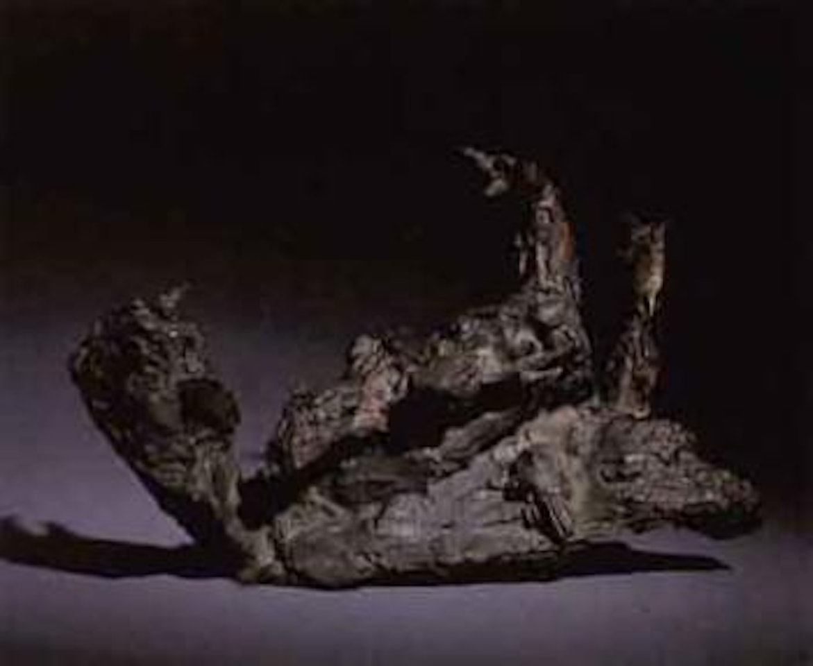Dead hen by Elisabeth Frink