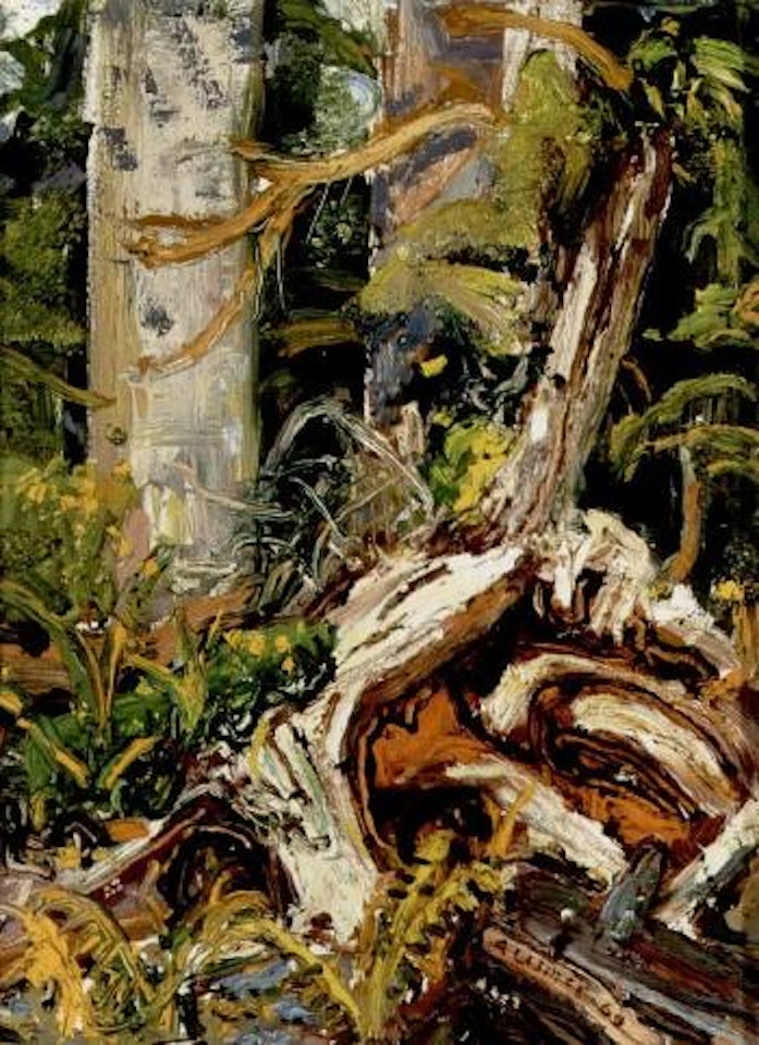 Jagged roots, BC forest by Arthur Lismer