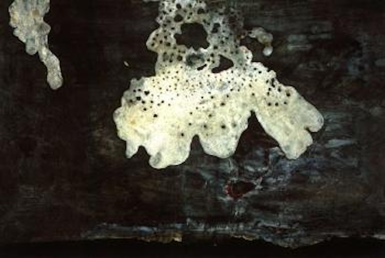 Erzmutter by Anselm Kiefer