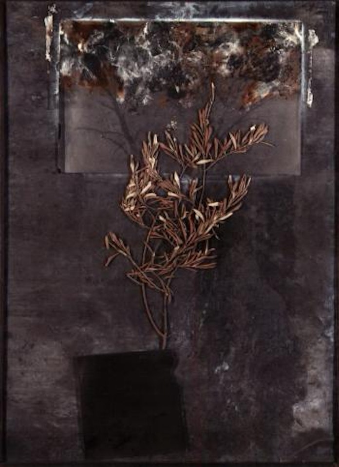 Der tod des virgil by Anselm Kiefer