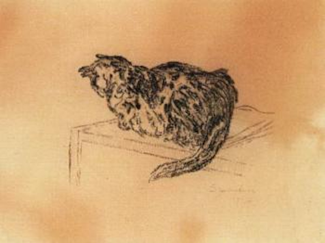 Chat by Théophile Alexandre Steinlen