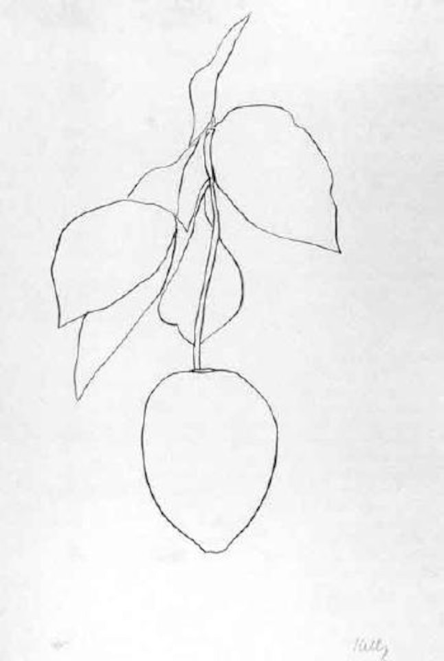 Lemon by Ellsworth Kelly