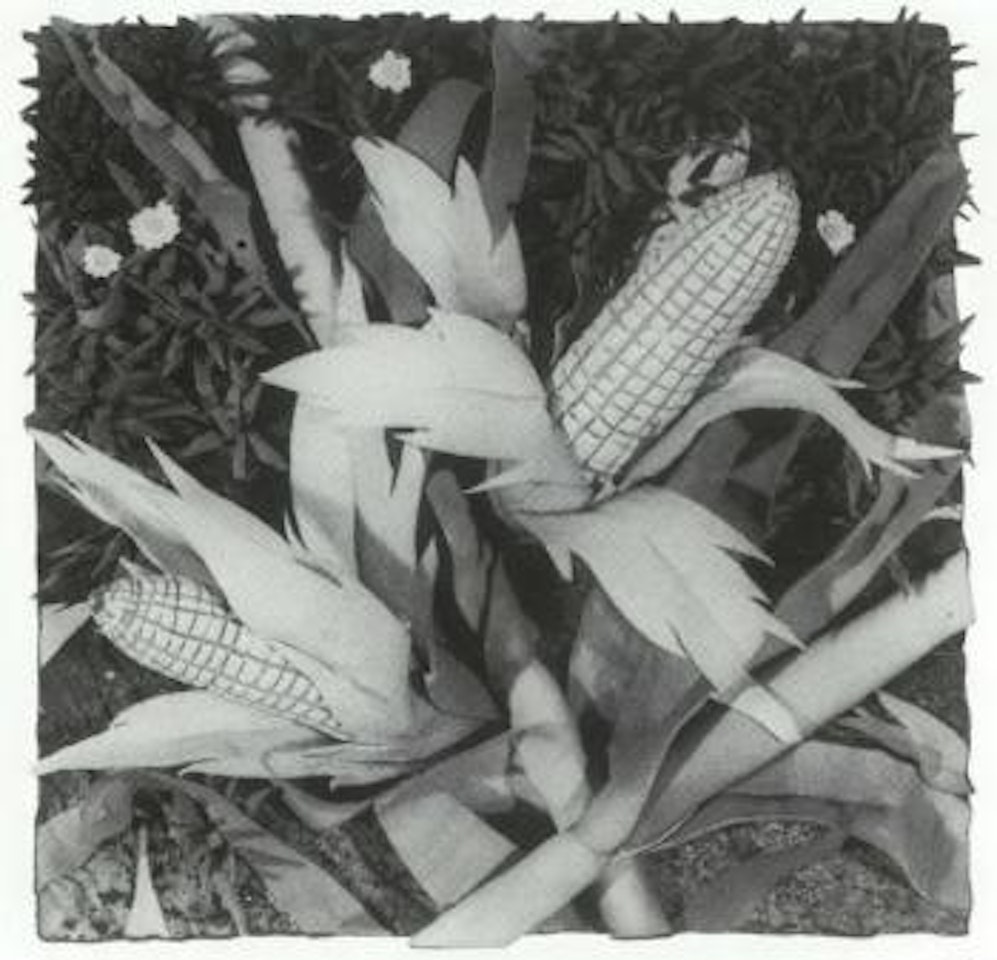 Sweetcorn by Piero Gilardi