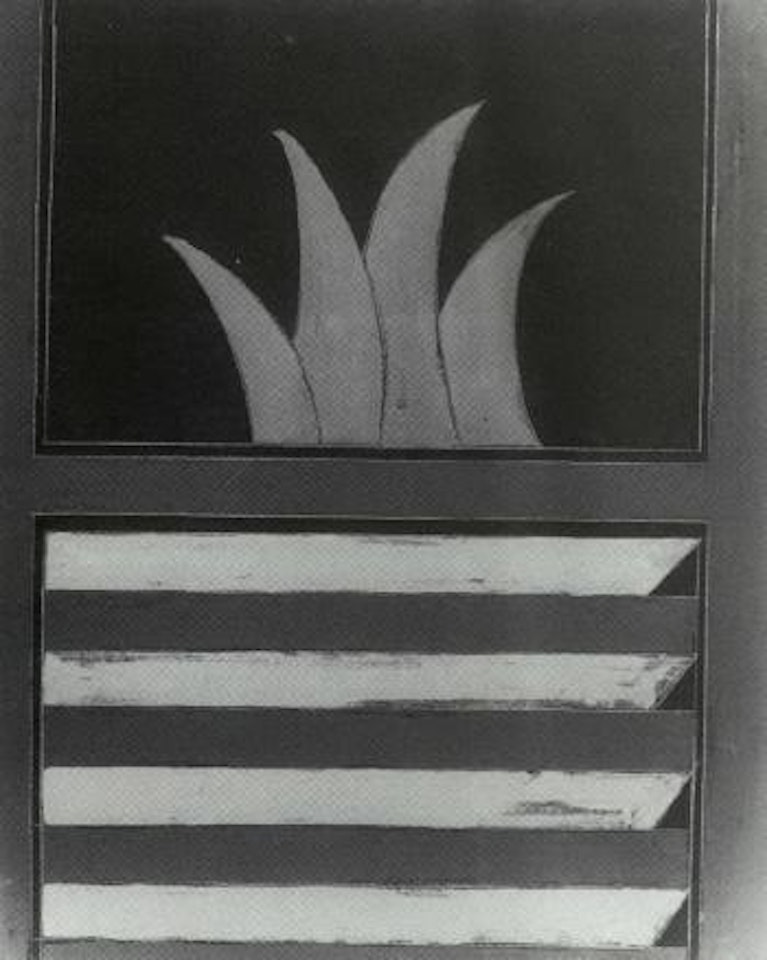 Cactus by Tano Festa