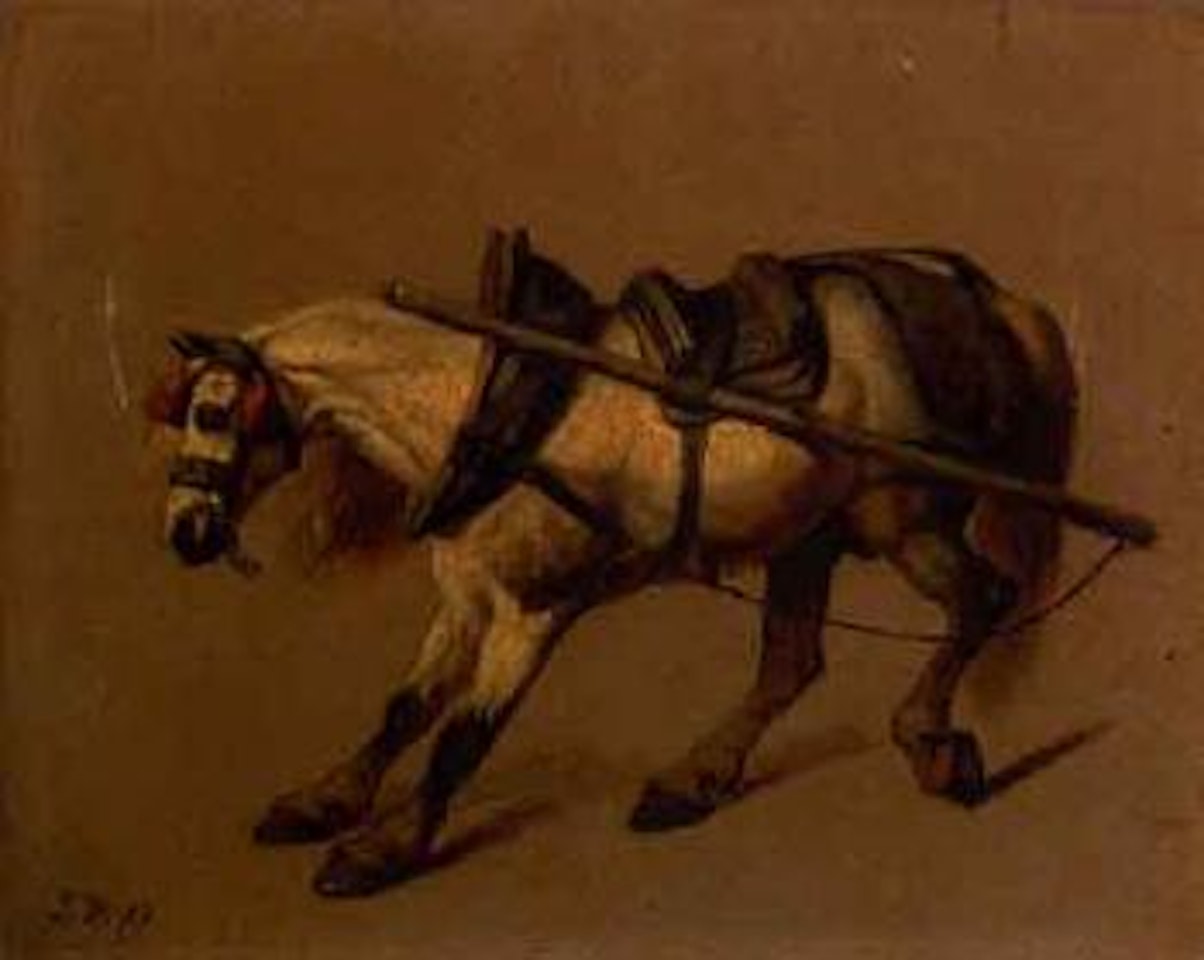 Study of horse by Eugène Joseph Verboeckhoven