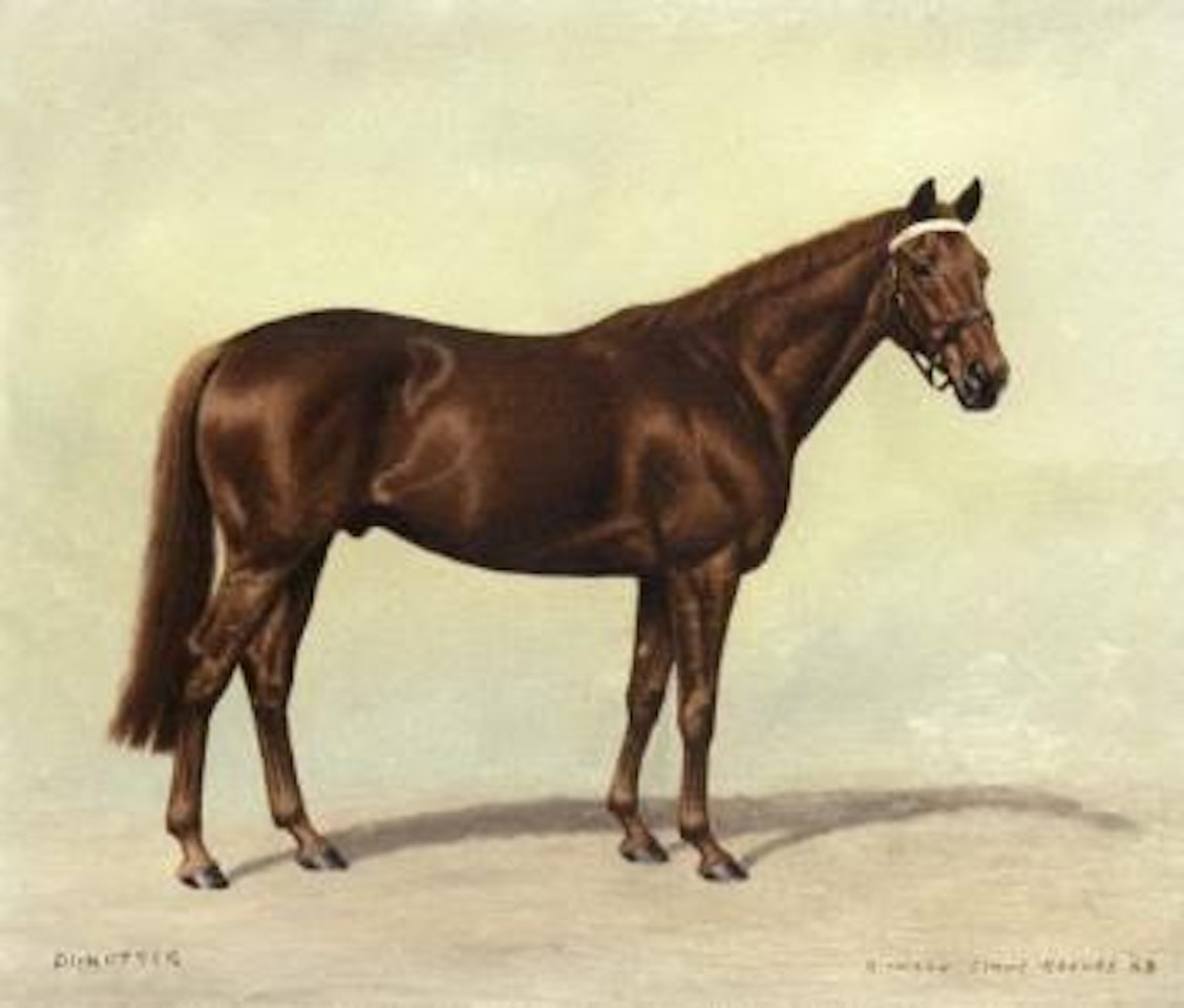 Dunotter by Richard Stone Reeves