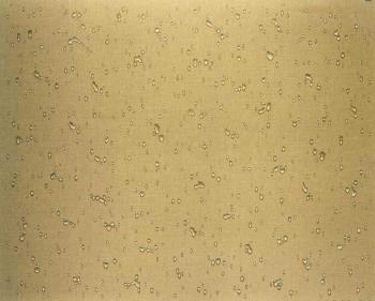 Waterdrops, number S 2 by Kim Tschang-Yeul