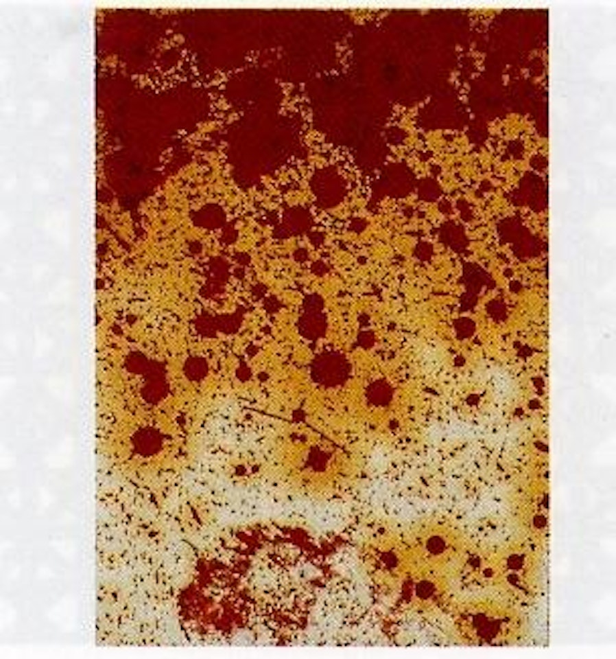 Malaktion by Hermann Nitsch