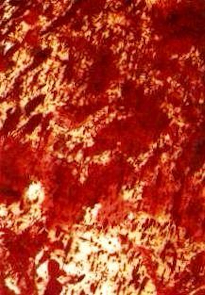 Malaktion by Hermann Nitsch