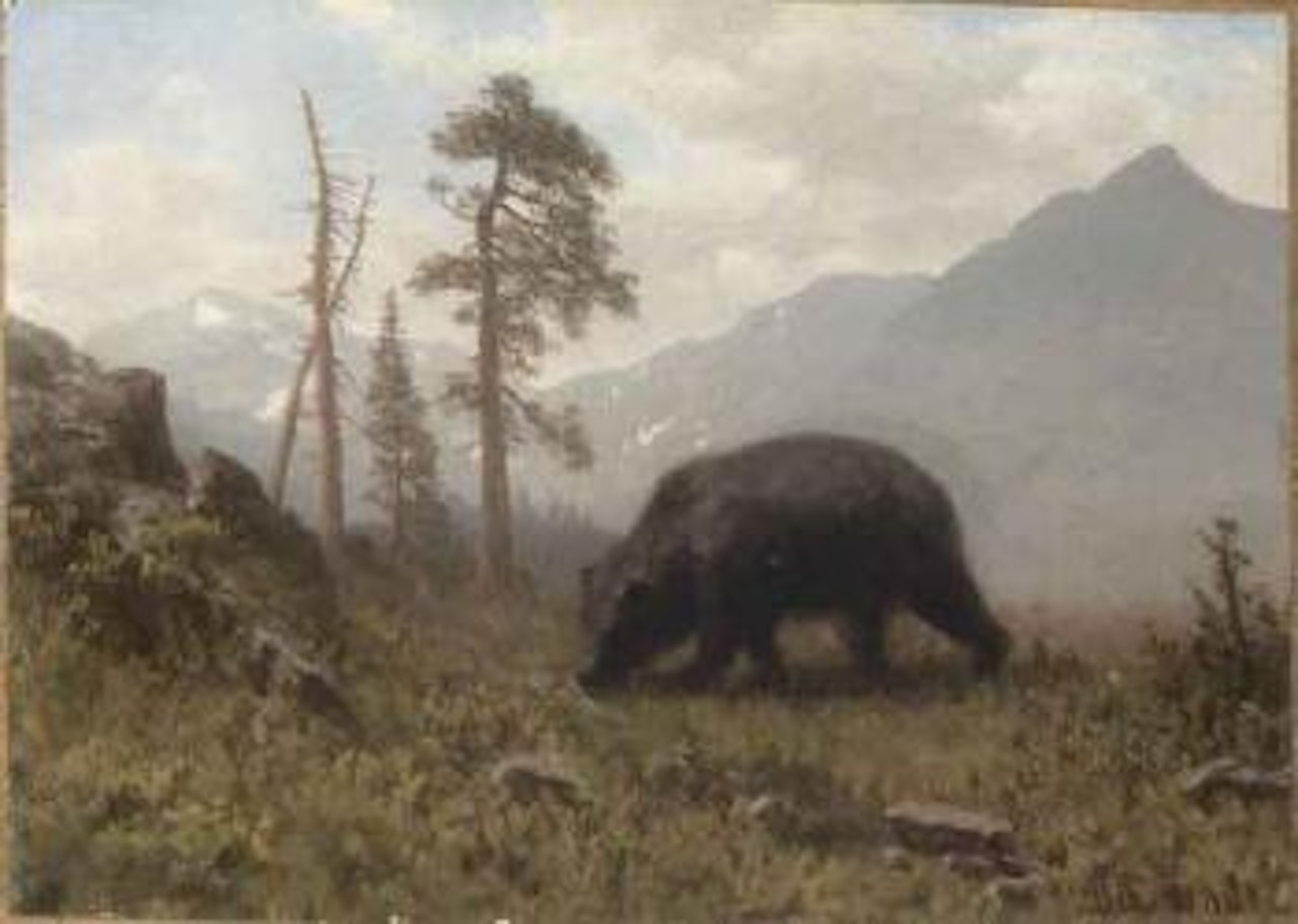 Grizzly bear by Albert Bierstadt
