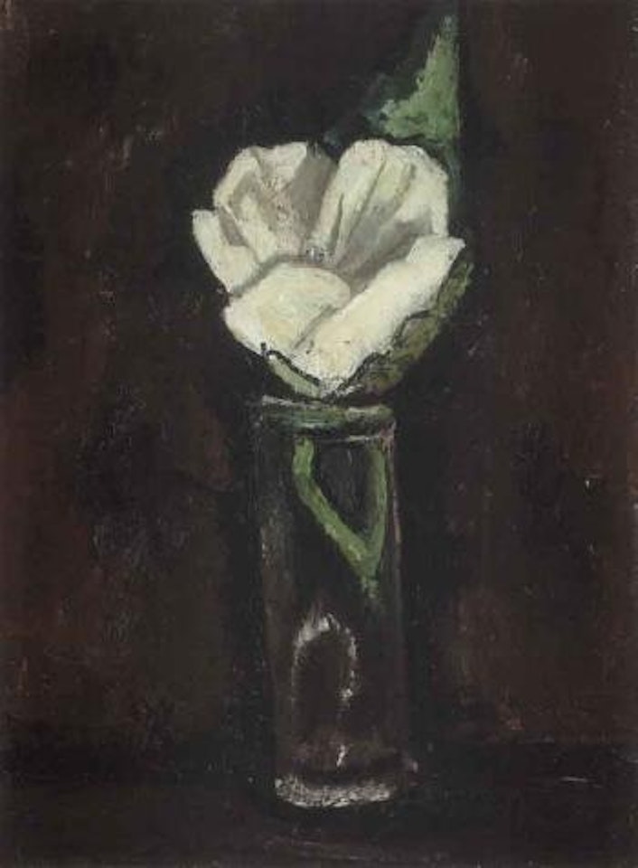 White hibiscus by Marsden Hartley