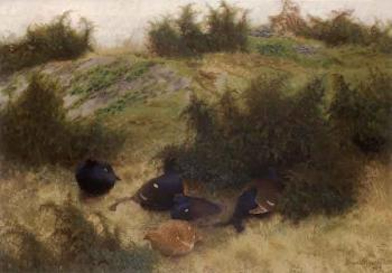 Black grouse in summer landscape by Bruno Liljefors