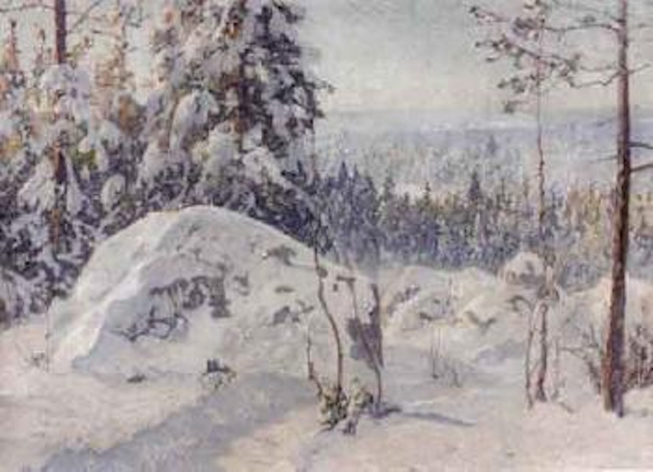 Winter wood in sunshine by Anshelm Schultzberg