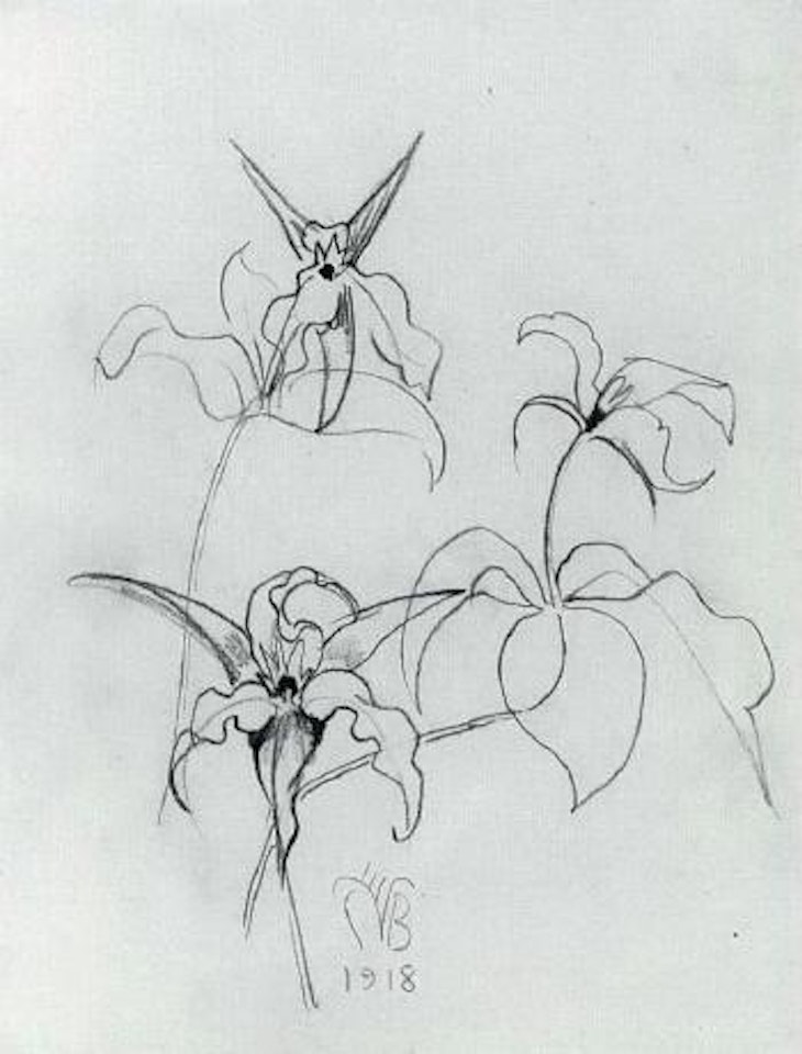 Flower study by Charles Burchfield