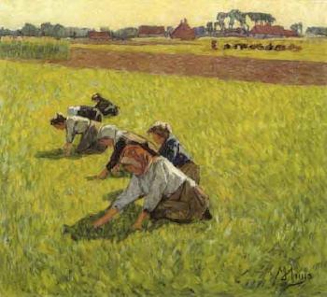 Weeding by Modeste Huys