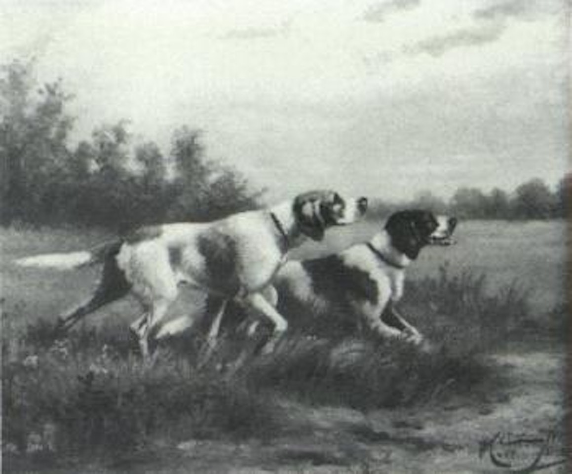 Springer spaniels on point by Olivier de Penne